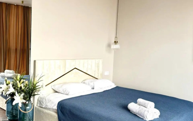 Апартаменты Студия с панорамным видом 0029200