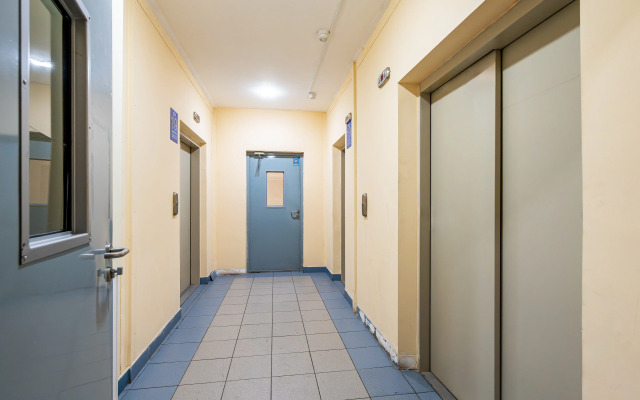 SutkiLive m. Pionerskaya U Almazova Apartments