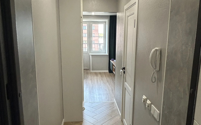 Квартира двухуровневая у Московского проспекта