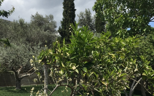 Villa Efyra Guest House