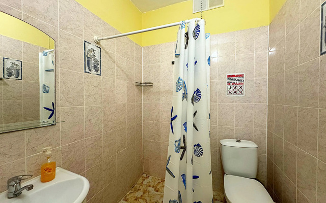Guest house Visteriya