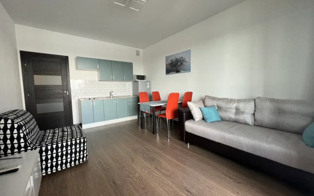 Апартаменты Вид на Неву с высоты птичьего полёта