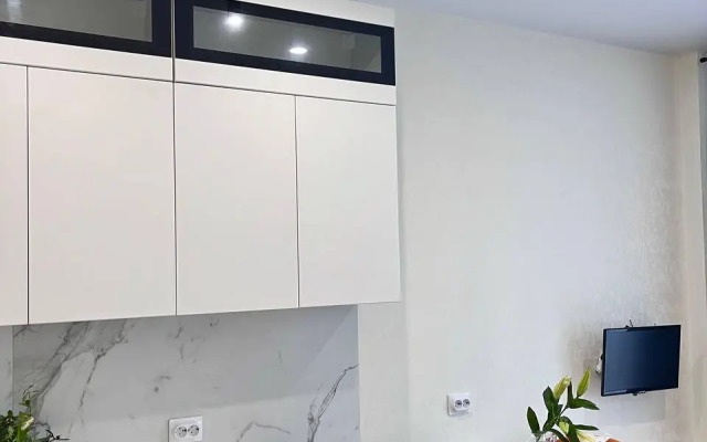 Квартира Евро Двушка в Центре Пушкина 6