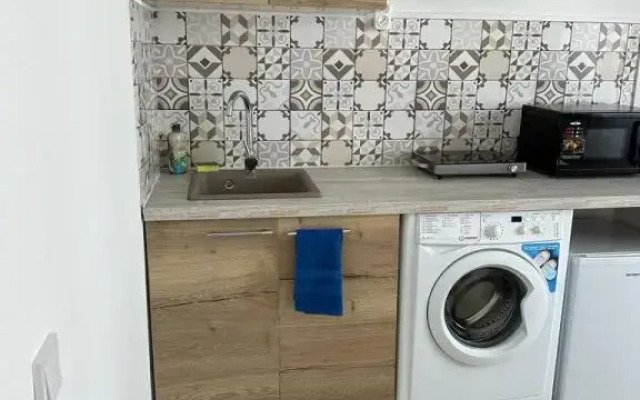 2 Pant Family House V Ostafyevo Apartments