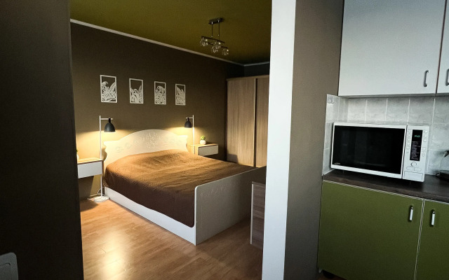 Квартира 1-комнатная на ул. Планерная 3