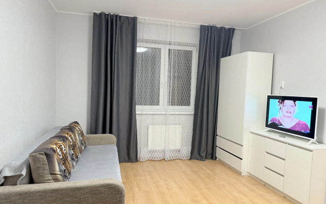 Yuzhny Vokzal- Rybnaya Derevnya Apartments