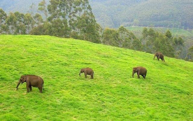 Moon Hill Resort Munnar ( Nature Retreat )