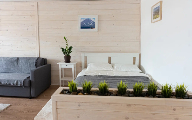 Апартаменты Студия Тушканова 3