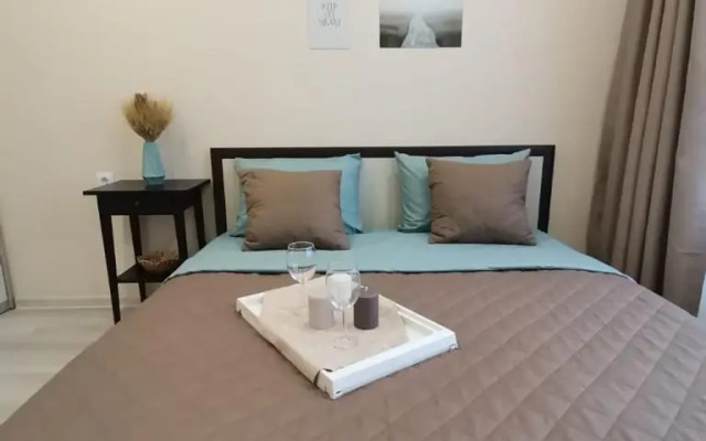 Квартира BeGuest на Чкалова 18