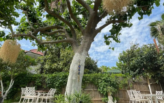 Alican Pension