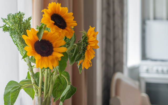 Апартаменты Кварт-Отель, Гашека, 11