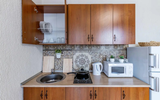 Apartamenty v Samom Tsentre na Belinskogo 30 (565)