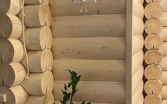 Частный дом Форца Лесной