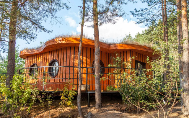 Отель Сорока