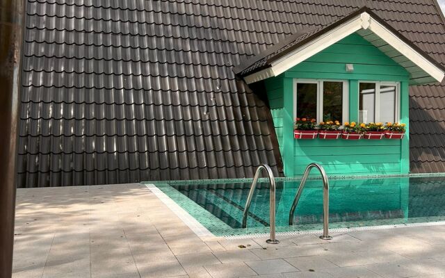 A-Frame Dubhouse Private house