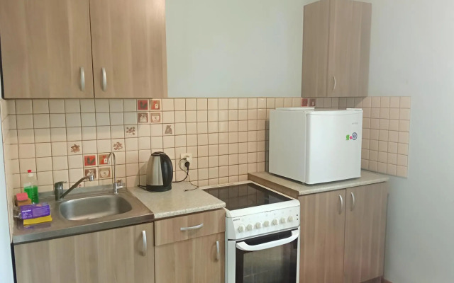 Апартаменты Уютные аппартаменты Парк Галицкого