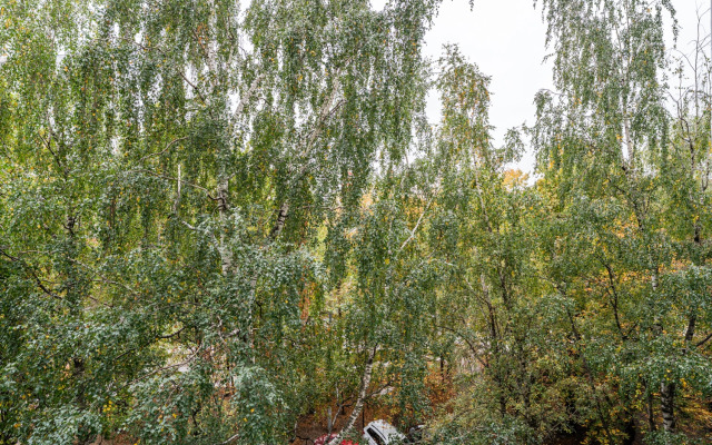 Квартира на Островитянова 21