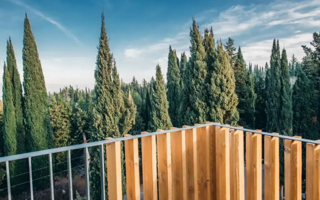 Hotel Park Hotel Tsinandali Estate