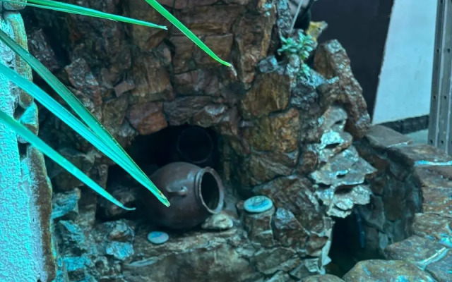 Гостевой дом День-Ночь