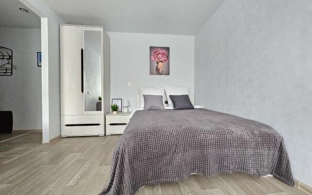 V Tsentre Apartments