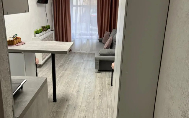 Апартаменты Студия N1 на Петроградке