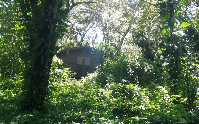 Mombacho Lodge Bungalow