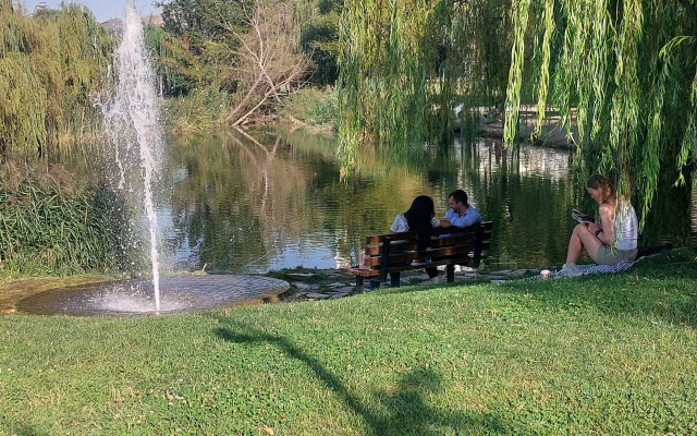 Апартаменты Kiwi