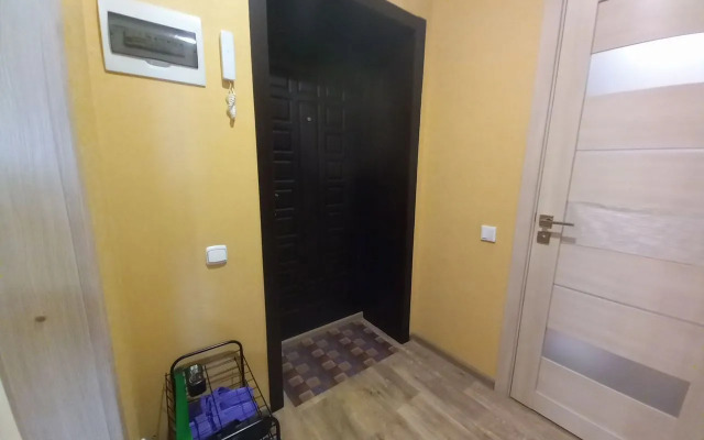 Квартира на Павловском тракте 299