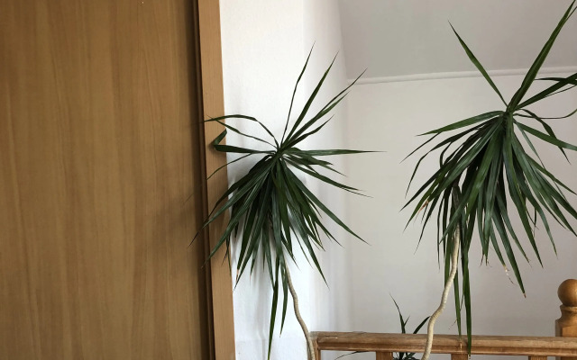 Меблированные комнаты Двухместная светлая на Колхозной