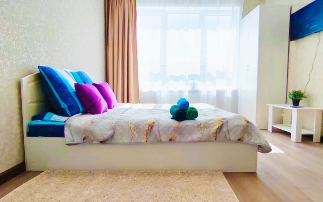 Квартира Большая однокомнатная Ботаника