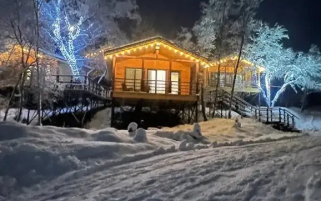 Частный дом Веселые гуси 1