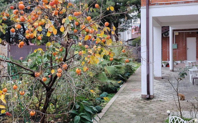 Отель Нинель