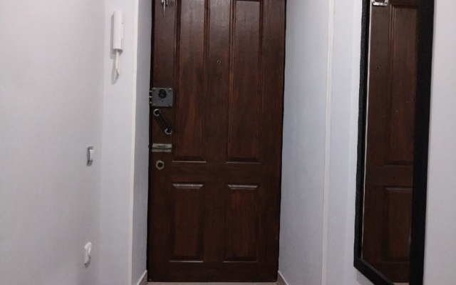 Studio V Centre goroda Flat