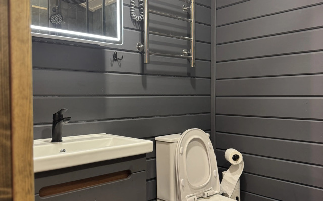 Частный дом на поляне