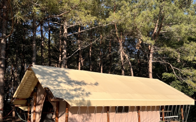 Pod Sosnami Hotel