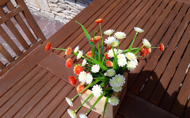 Dubrava Guest House