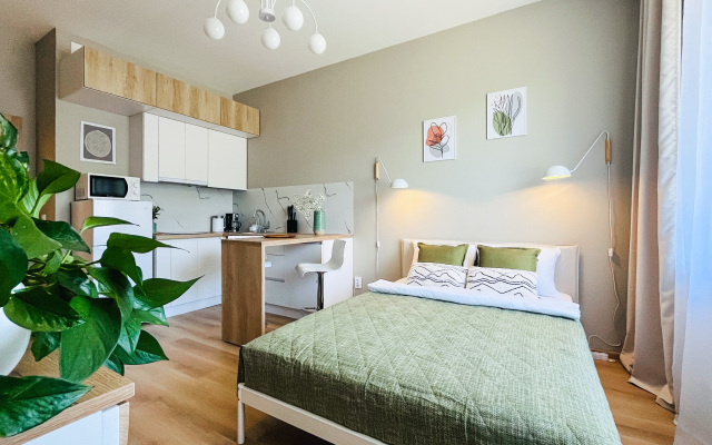 Uyutnaya Studiya V Pesochnom Flat