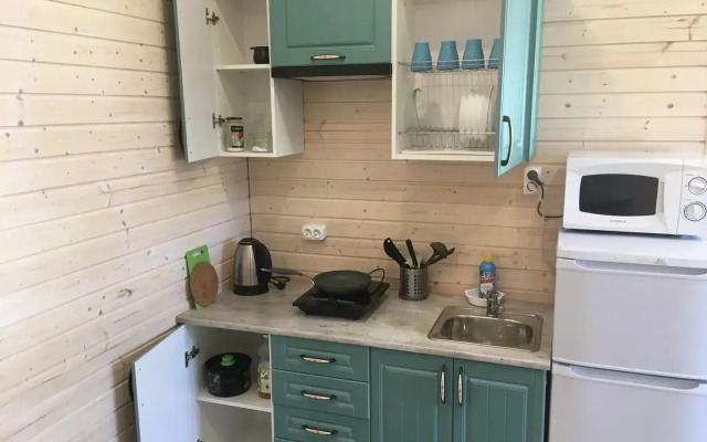 Частный дом в 1-м Академическом переулке 9