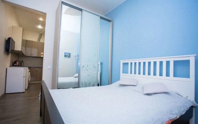 Квартира Однокомнатная в Центре Петербурга