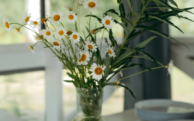 Эко Апартаменты уютные и светлые