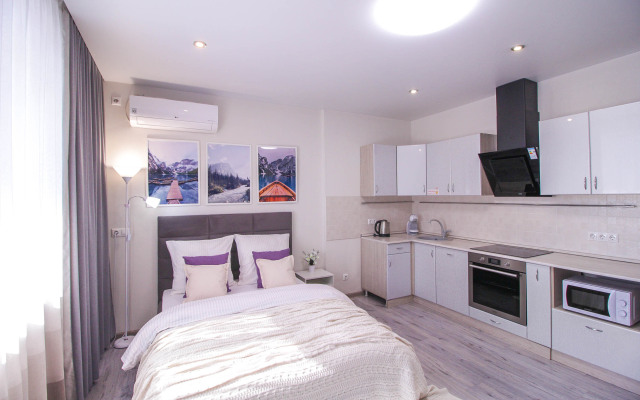 Апартаменты На Партизанской 149 Уютная Студия в Центре Барнаула