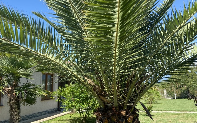 Apsua Villa