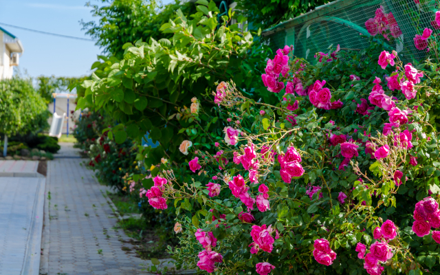 Gelios Guest House