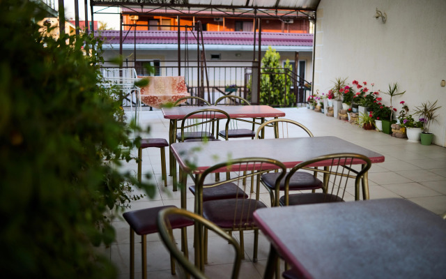 Daryya+ Guest house