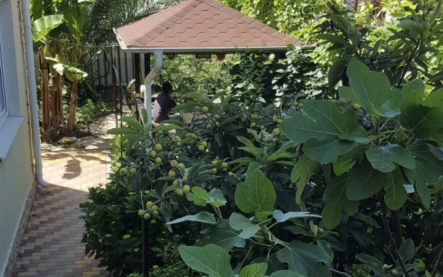 Agava Guest house