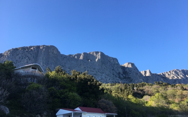 Forosskiy Bereg Apartments