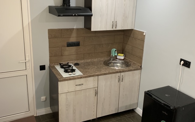 Apartamenty v Gagrah Private House