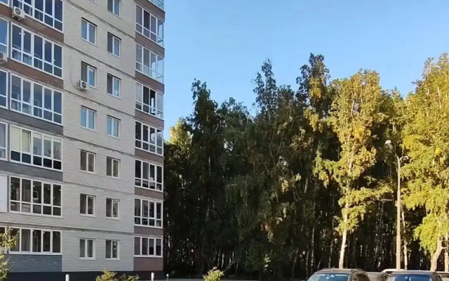 Квартира уютная двухкомнатная рядом с Гагаринским парком