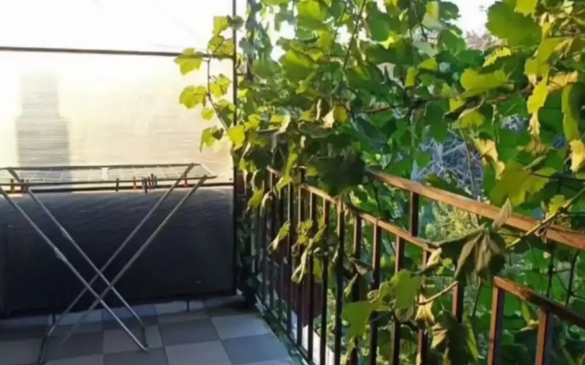 S Basseynom Uralskiy Guest house