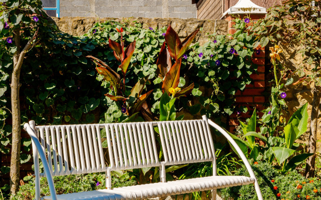 Sashenka Guest House